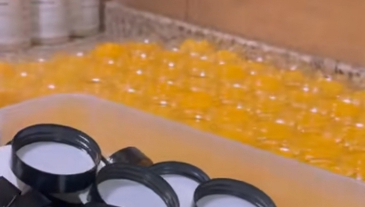 مخمريات متنوعة 